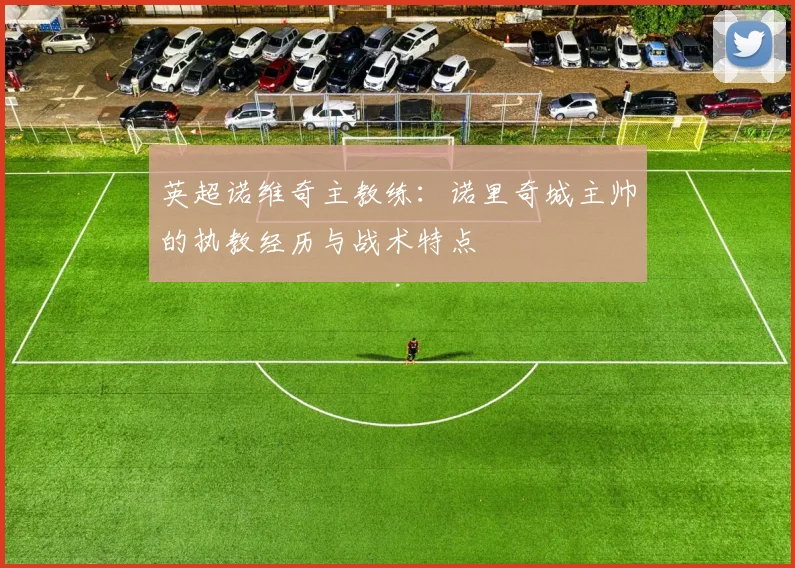 英超诺维奇主教练:诺里奇城主帅的执教经历与战术特点