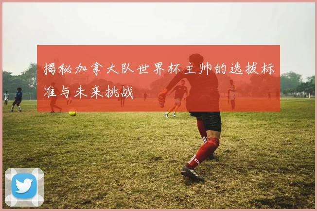 揭秘加拿大队世界杯主帅的选拔标准与未来挑战