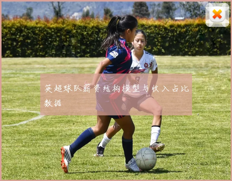 英超球队薪资结构模型与收入占比数据