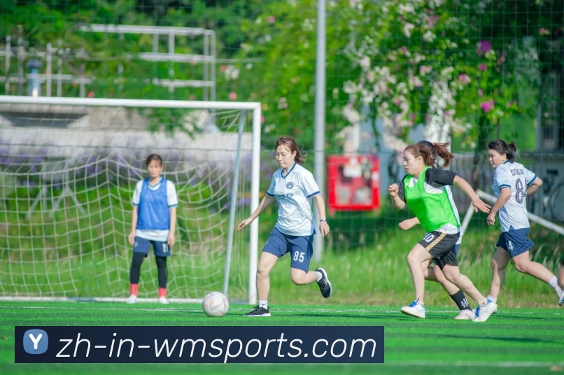 完美体育官网品牌故事