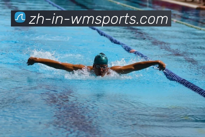 完美体育官网服务体系